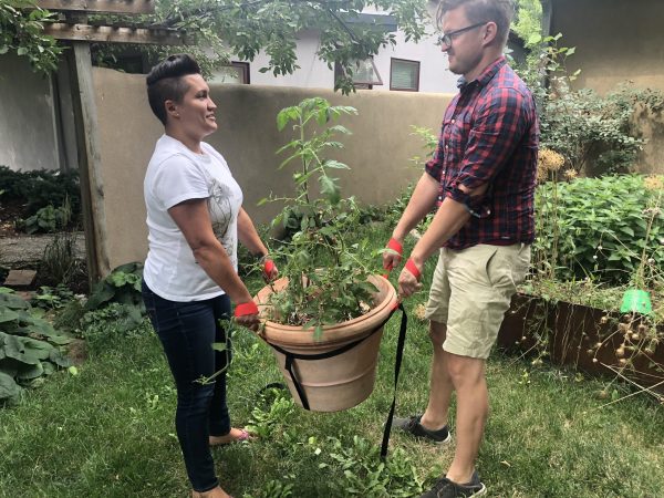 Umzugsgurte Garten GARDENDOLLY M3060 - immagine 6